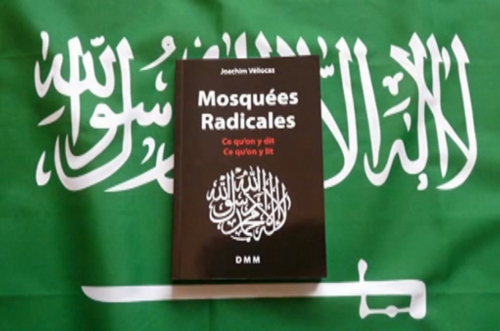 Mosquées-radicales.jpg